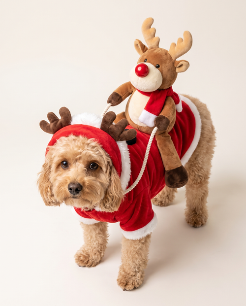 Christmas Rider Dog Jacket, Reindeer