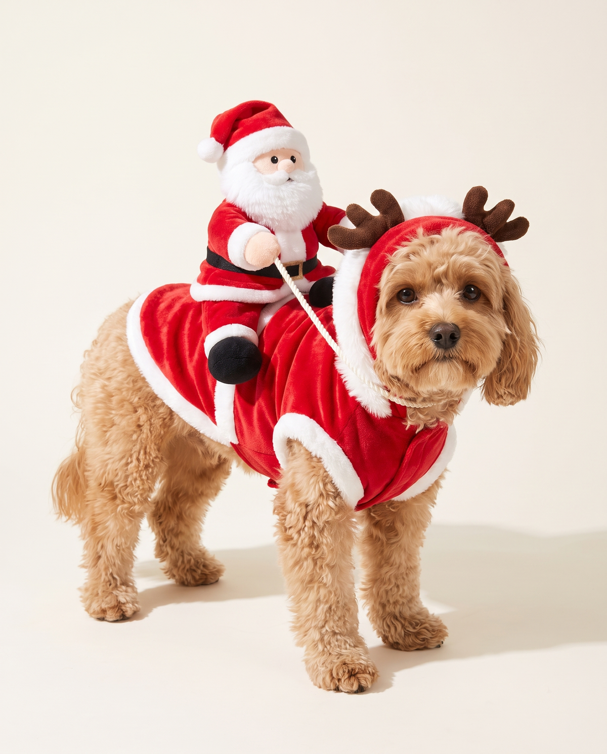 Christmas Rider Dog Jacket, Santa